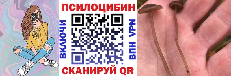 Галлюциногенные грибы GOLDEN TEACHER  Тейково 